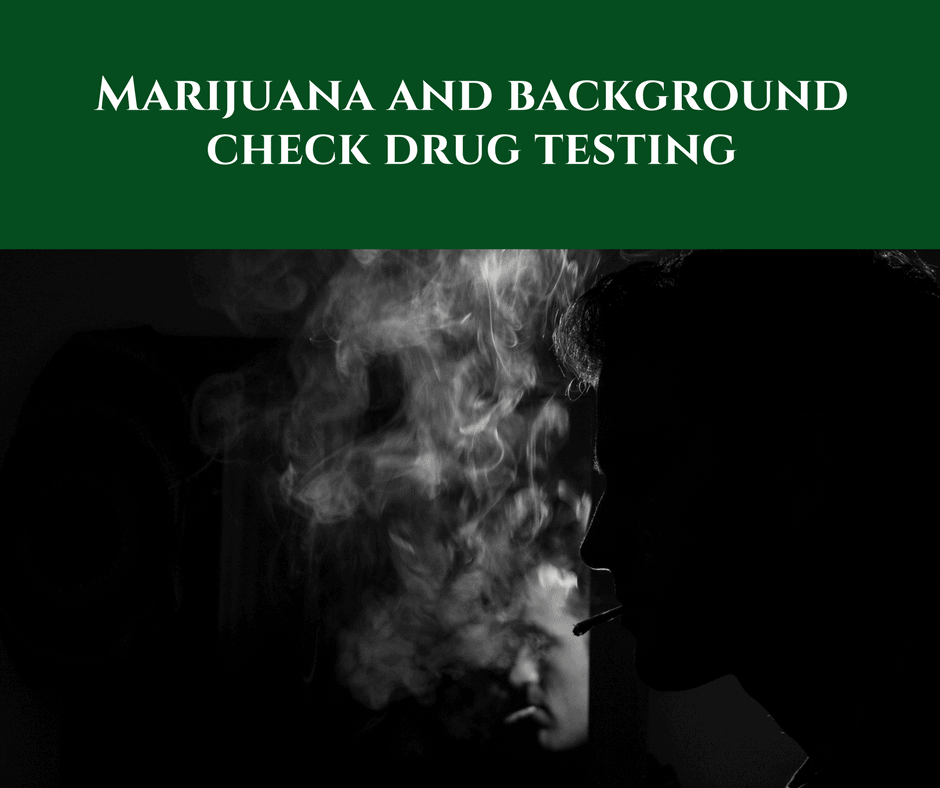 Marijuana and Background Check Drug Testing