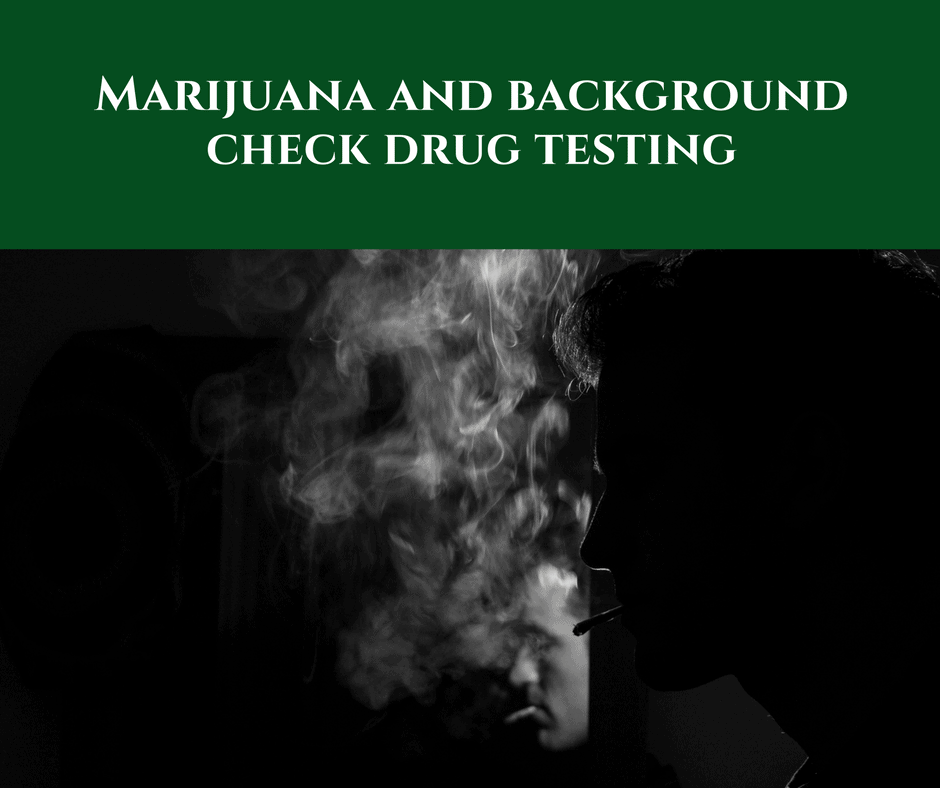 Drug test or Background check: What comes first?